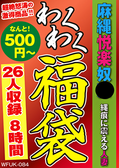 Pe wkf0084 01 T1705024975