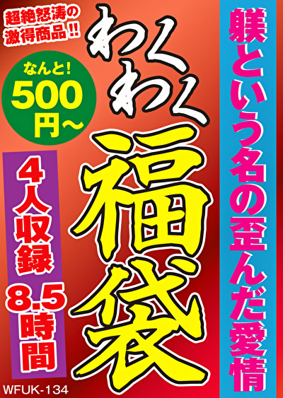 Pe wkf0134 01 T1736391837