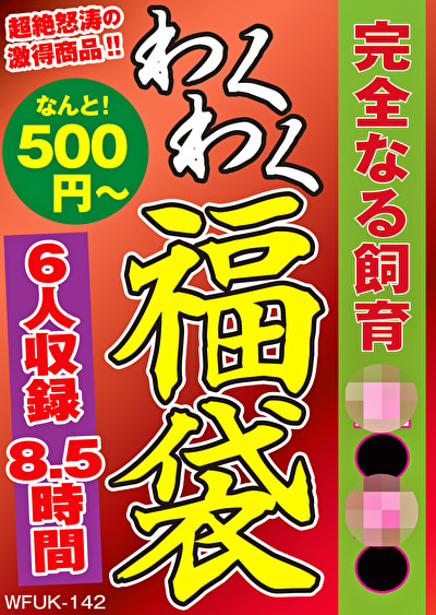 Pe wkf0142 01 T1741925572