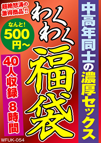 Pe wkf0054 01 T1685690427