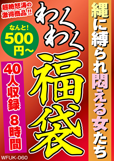 Pe wkf0060 01 T1689303286