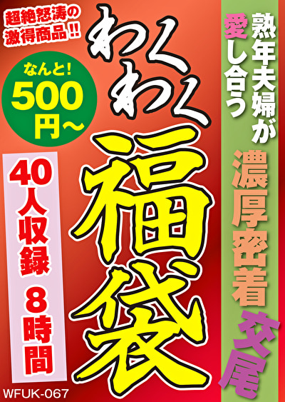 Pe wkf0067 01 T1694680035