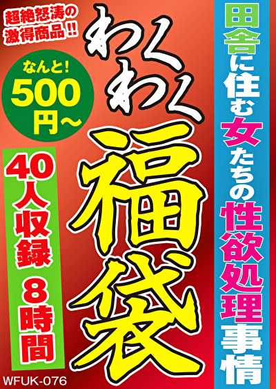 Pe wkf0076 01 T1700187806